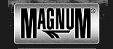 Altri prodotti Magnum